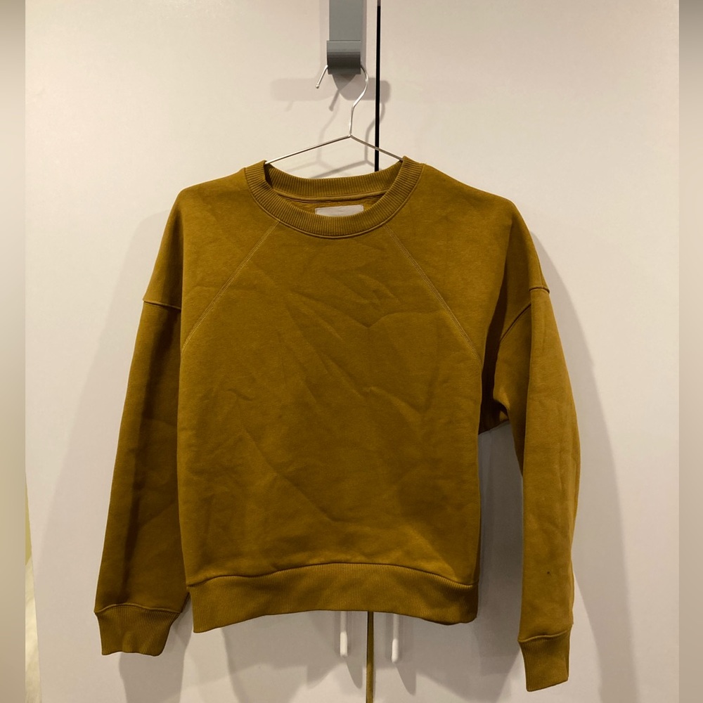 NWT Everlane Renew Sweatshirt